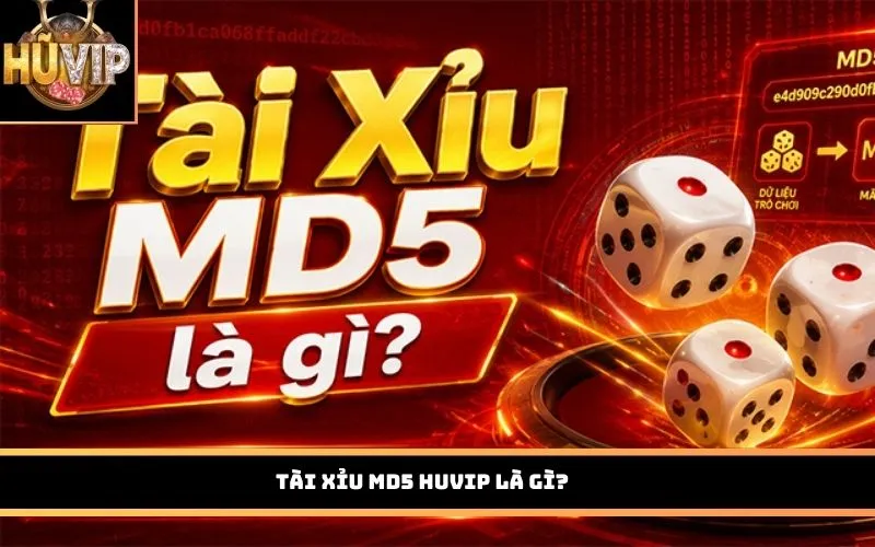 Tài Xỉu MD5 HUVIP là gì?
